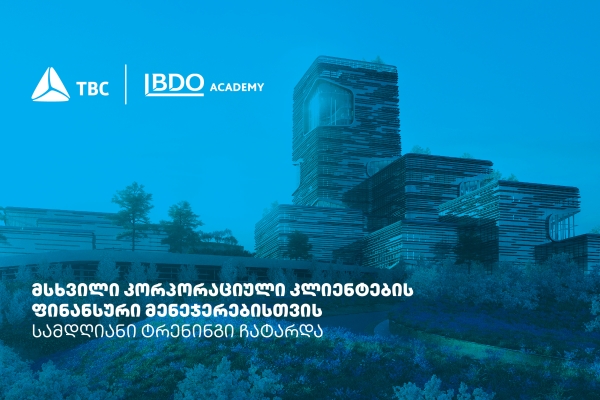 თიბისიმ პარტნიორი კომპანიების ფინანსური მენეჯერებისთვის ყოველწლიური ტრენინგები გამართა