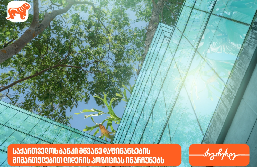 ეროვნული ბანკი: საქართველოს ბანკი მწვანე დაფინანსების მიმართულებით ლიდერის პოზიციას ინარჩუნებს