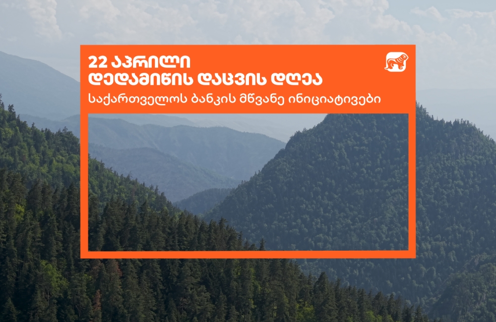 საქართველოს ბანკი დედამიწის დღეს მწვანე ინიციატივებს აჯამებს