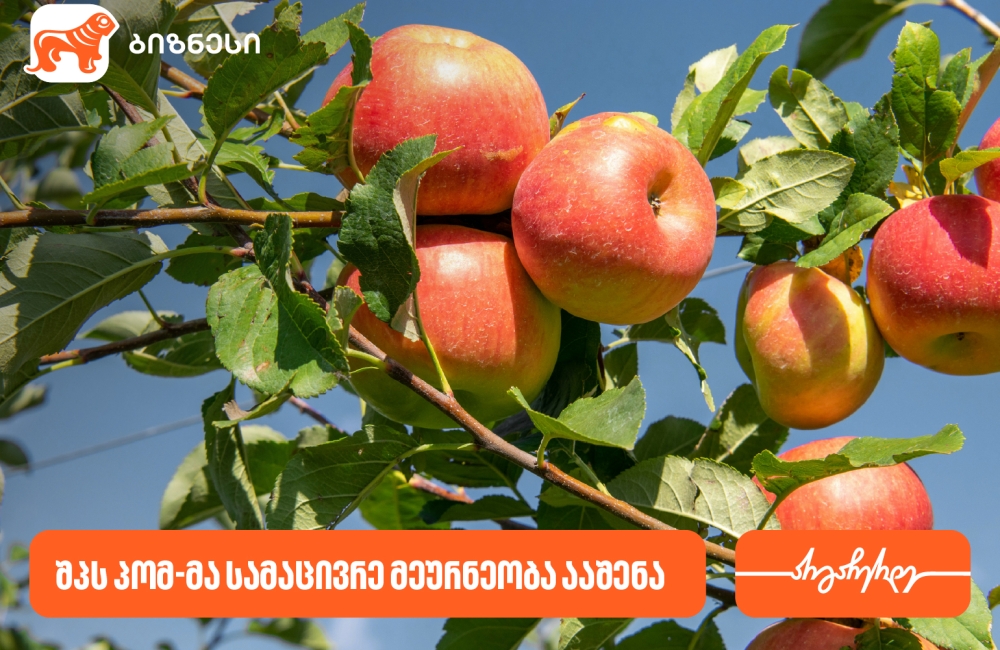 საქართველოს ბანკის მხარდაჭერით, შპს პომ-მა სამაცივრე მეურნეობა ააშენა