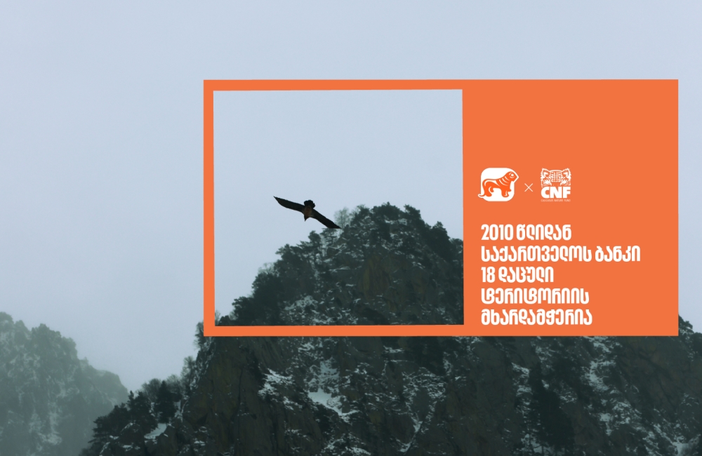 საქართველოს ბანკი 2010 წლიდან  18 დაცული ტერიტორიის მხარდამჭერია