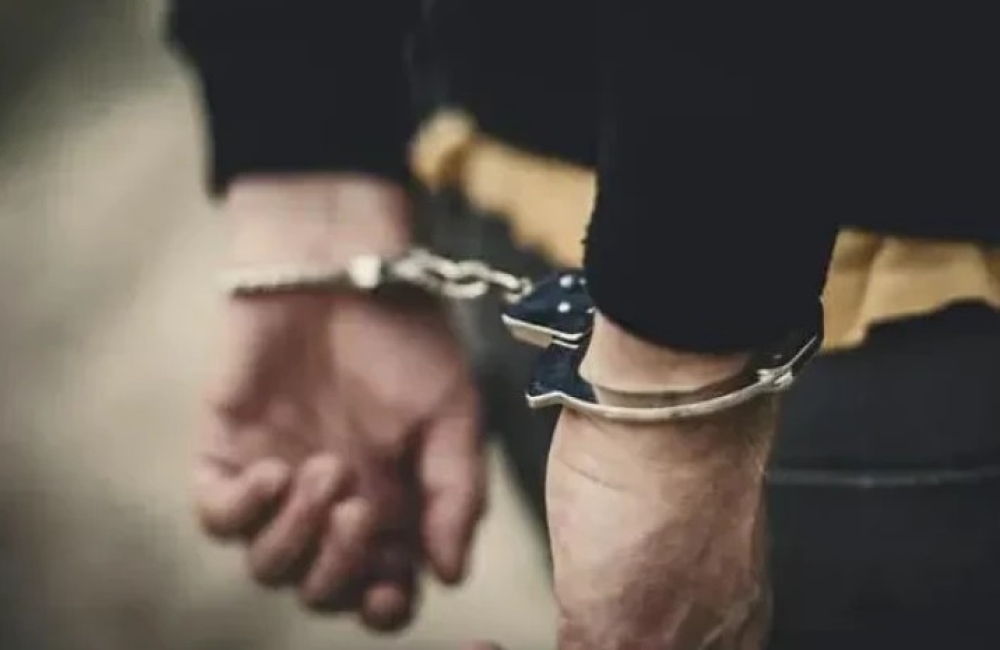 "რუსეთის ფედერაციის მოქალაქე 1980 წელს დაბადებული დ.შ. დააკავეს"