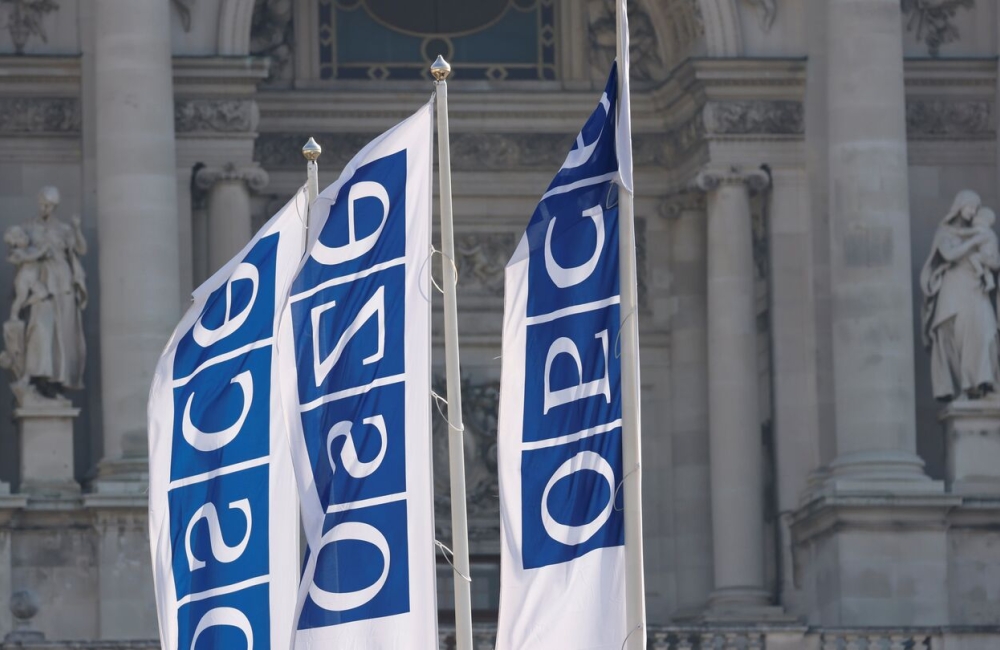 "რა შედეგი შეიძლება მოჰყვეს ეუთოს სპეციალური მექანიზმის ამოქმედებას? ეს არ არის უბრალოდ მორიგი მკაცრი საერთაშორისო პროცესი..."