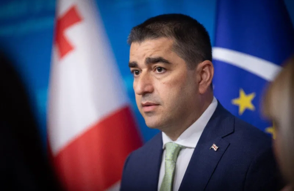 პაპუაშვილი: "თუკი ვინმეს აქვს უკუსვლა, ეს სწორედ ევროკავშირის დღევანდელი მმართველი ინსტიტუციებია"