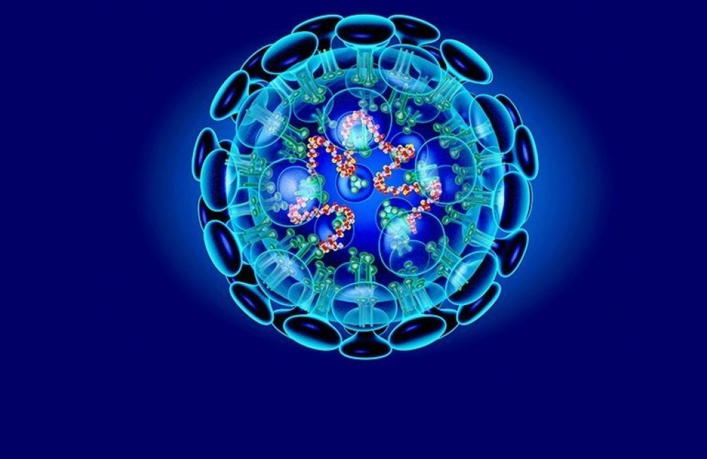 ინდოეთში ახალი სასიკვდილო ვირუსი დაფიქსირდა, რამდენიმე პირი დაინფიცირდა, 100 ადამიანი კი - თვითიზოლაციაშია