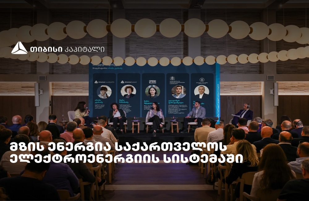 „მზის ენერგია საქართველოს ელექტროენერგიის სისტემაში" - თიბისი კაპიტალმა ახალი კვლევა წარადგინა