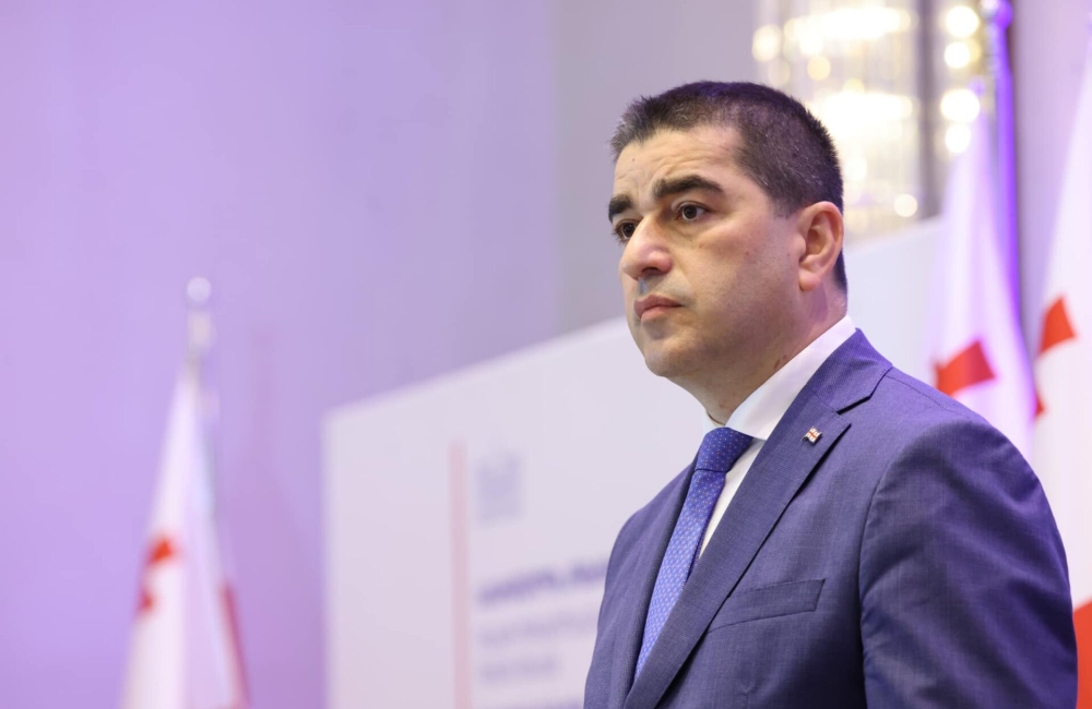 "სარჩელი არ შეიცავს არაკონსტიტუციურ პოლიტიკურ პარტიასთან დაკავშირებული პირებისთვის პოლიტიკური საქმიანობის შეზღუდვის მოთხოვნას"
