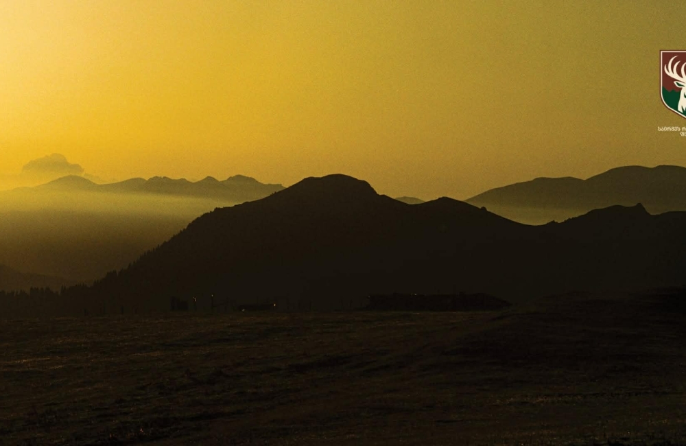 ფირის ფოტოგრაფია „საირმეს რეკრეაციულ ფერმაში“ - რეზი ყენიას ფოტოამბავი