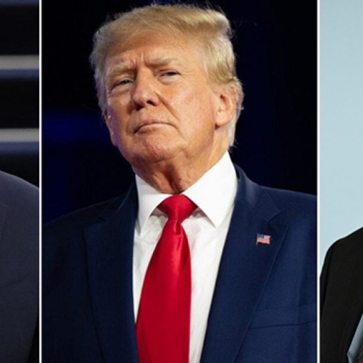 "მგონი ისინი დამეგობრდნენ, წამოდექით, წამოდექით! ეს ორი კერკეტი კაკალია"