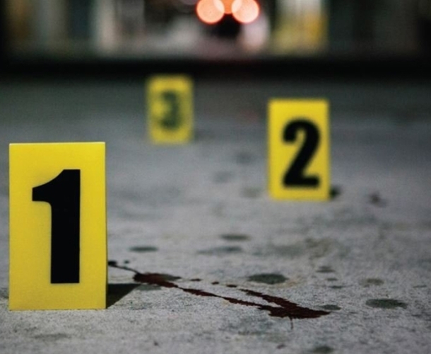 მკვლელობა - "მეუღლეს ცივი იარაღის გამოყენებით გულ-მკერდის არეში სასიკვდილო ჭრილობა მიაყენა"