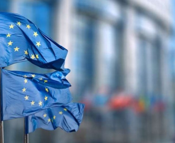 განცხადება საელჩოების სახელით - 27 ქვეყნის პოზიცია