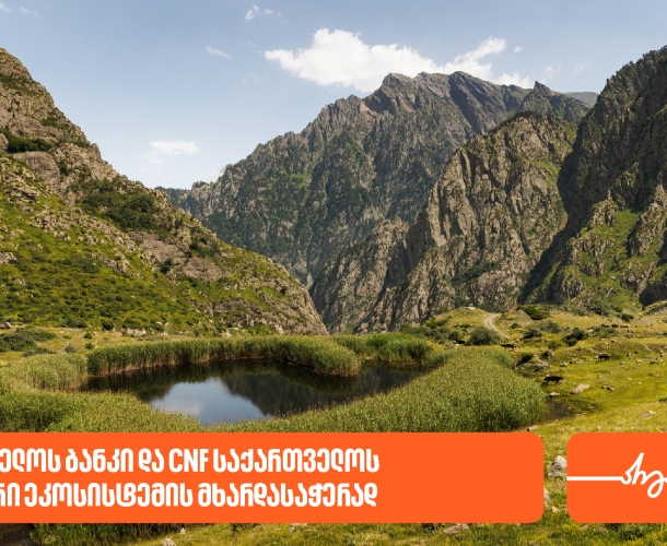 საქართველოს ბანკი მწვანე ინიციატივების მხარდაჭერასა და საქართველოს უნიკალური ეკოსისტემის დაცვას  აქტიურად განაგრძობს