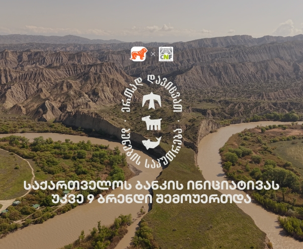 საქართველოს ბანკი X CNF: ბუნების დასაცავად შექმნილ კამპანიას უკვე 9 ბრენდი შეუერთდა