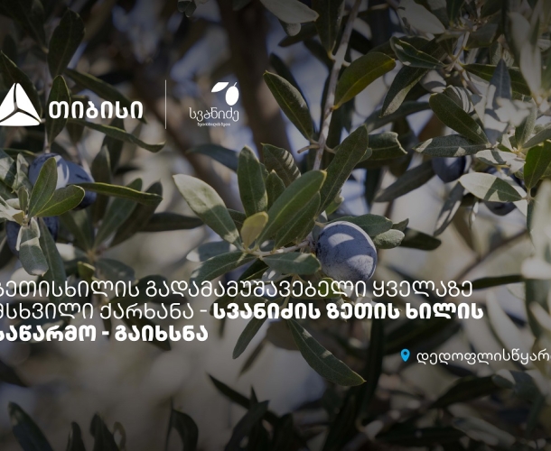 თიბისის მხარდაჭერით, დედოფლისწყაროში „სვანიძის ზეთისხილის“ საწარმო გაიხსნა