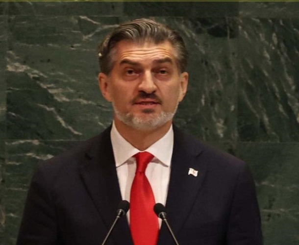 "გაერთიანებულმა ერების ორგანიზაციამ უნდა უზრუნველყოს ჩვენი პლანეტის ტრანზიცია" - ყაველაშვილი