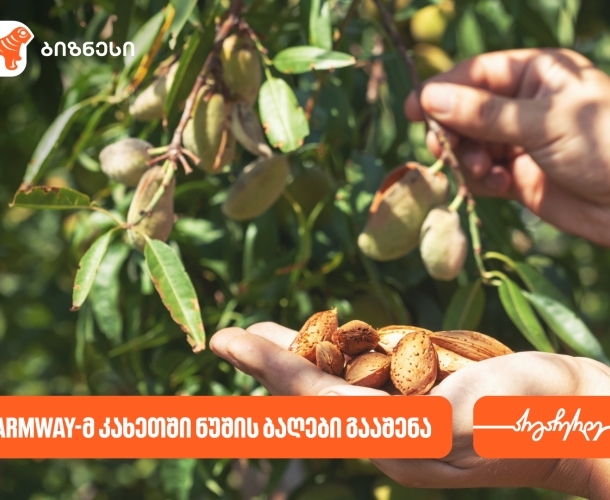 კომპანია Farmway-მ კახეთში ნუშის ბაღები გააშენა - მხარდამჭერი საქართველოს ბანკია