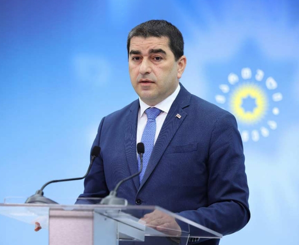 "ბრიუსელი უნდა დაუბრუნდეს ფუძემდებლურ ევროპული ღირებულებებს" - პაპუაშვილი