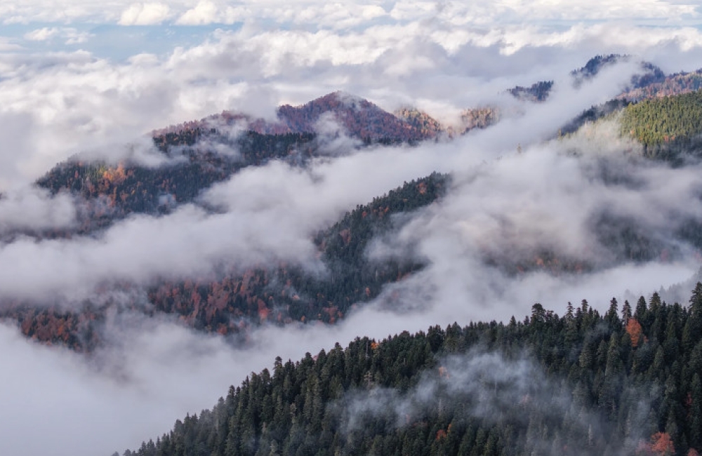 „საირმეს რეკრეაციული ფერმა“ ნიკა ლებანიძის ობიექტივში
