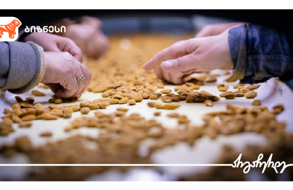 საქართველოს ბანკის მხარდაჭერით, ფარმინგ ქონსთრაქშენმა ნუშის გადამამუშავებელი ქარხანა ააშენა