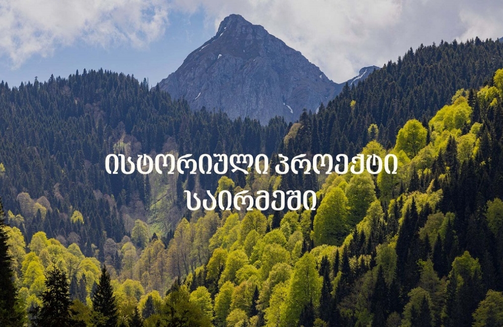 როგორი იქნება ეკოსისტემა, რომელიც „საირმეს რეკრეაციულ ფერმაში“ ცხოველების პოპულაციის გამრავლებისთვის იქმნება