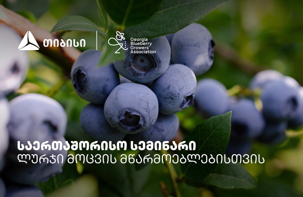 თიბისის მხარდაჭერით, ლურჯი მოცვის მწარმოებლებისთვის საერთაშორისო სემინარი გაიმართა