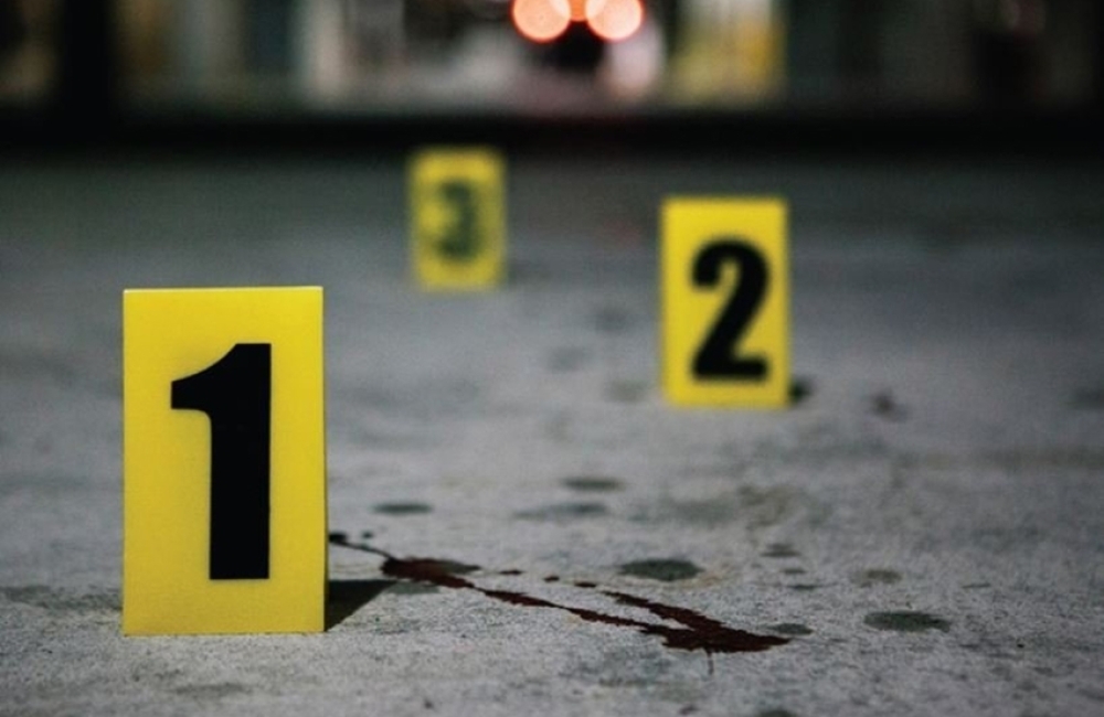 მკვლელობა - "მეუღლეს ცივი იარაღის გამოყენებით გულ-მკერდის არეში სასიკვდილო ჭრილობა მიაყენა"