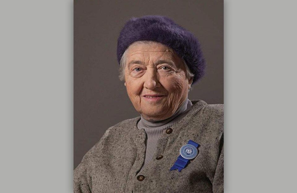 "საბჭოთა პედინსტიტუტის ვიწრო პროფილი არ შეესაბამება ილიას უნივერსიტეტის თანამედროვე ამოცანებს“