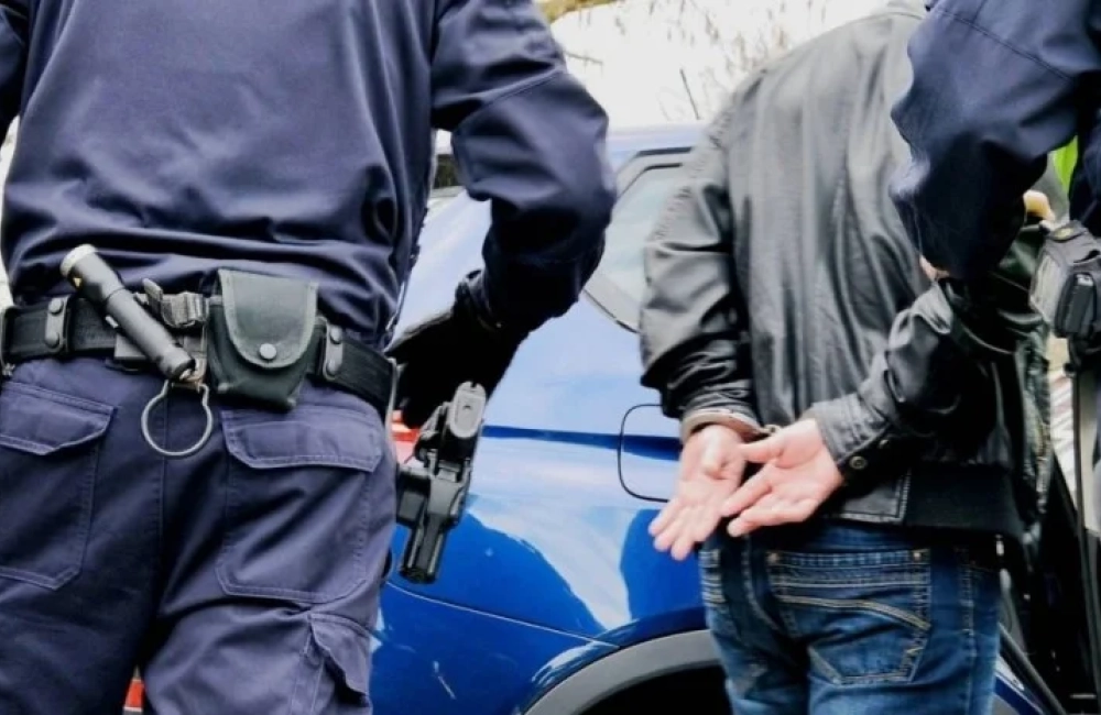 "საგამოძიებო სამსახურმა ორგანიზებული ჯგუფის მიერ სახელმწიფო ბიუჯეტისთვის 3 926 261 ლარის ზიანის მიყენების ფაქტზე, რვა პირი დააკავა"