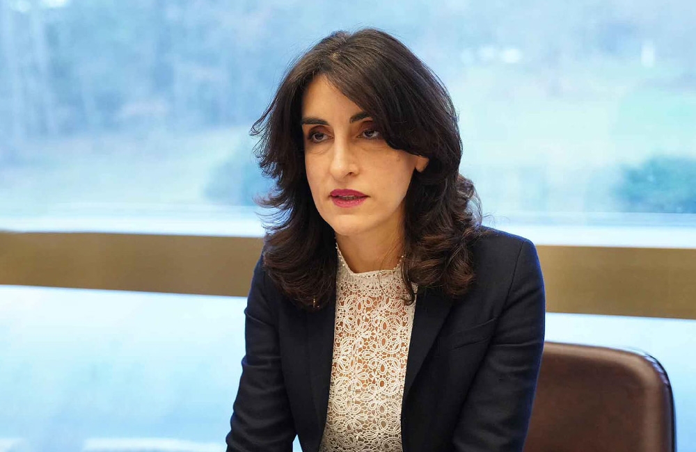 "გვაქვს მოლოდინი, რომ ამერიკის შეერთებული შტატების ახალი ადმინისტრაციის დღის წესრიგში საქართველო უახლოეს მომავალში დადგება"