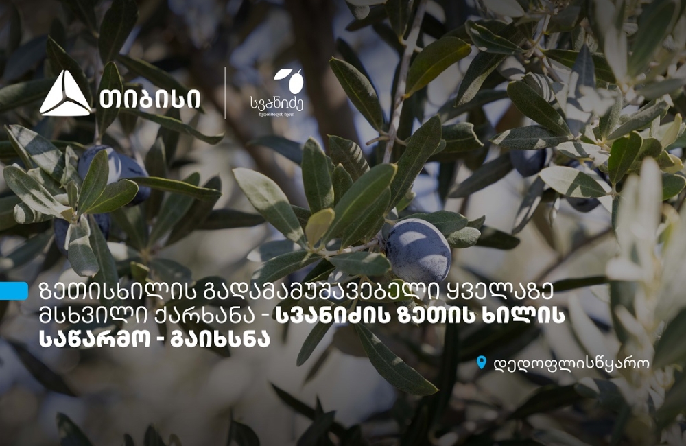 თიბისის მხარდაჭერით, დედოფლისწყაროში „სვანიძის ზეთისხილის“ საწარმო გაიხსნა