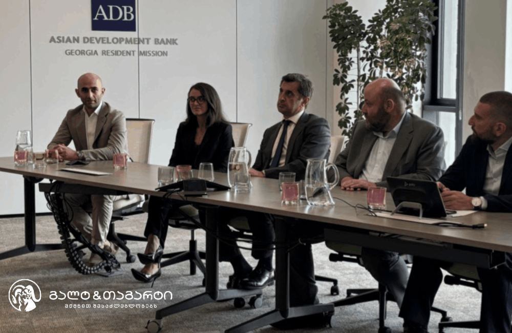 გალტ & თაგარტმა ADB-ის კონფერენციაზე მდგრად დაფინანსებასთან დაკავშირებით გამოცდილება გააზიარა