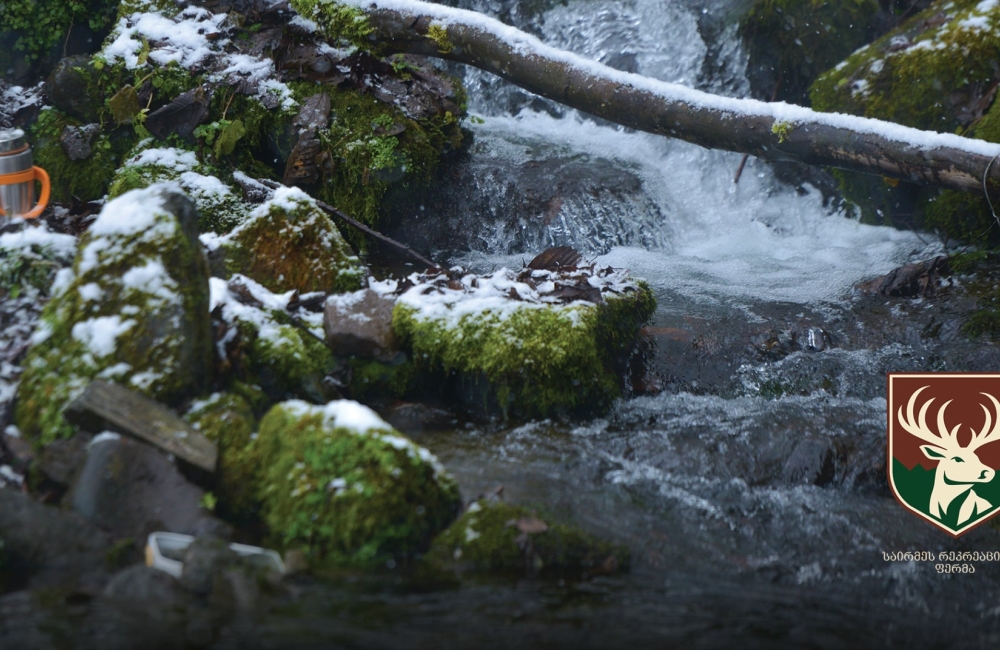 საირმეში დათევზიანების მეორე ეტაპი დასრულდა - მდინარე წაბლარასწყალში წითელწინწკლებიანი კალმახის ქვირითი გაუშვეს