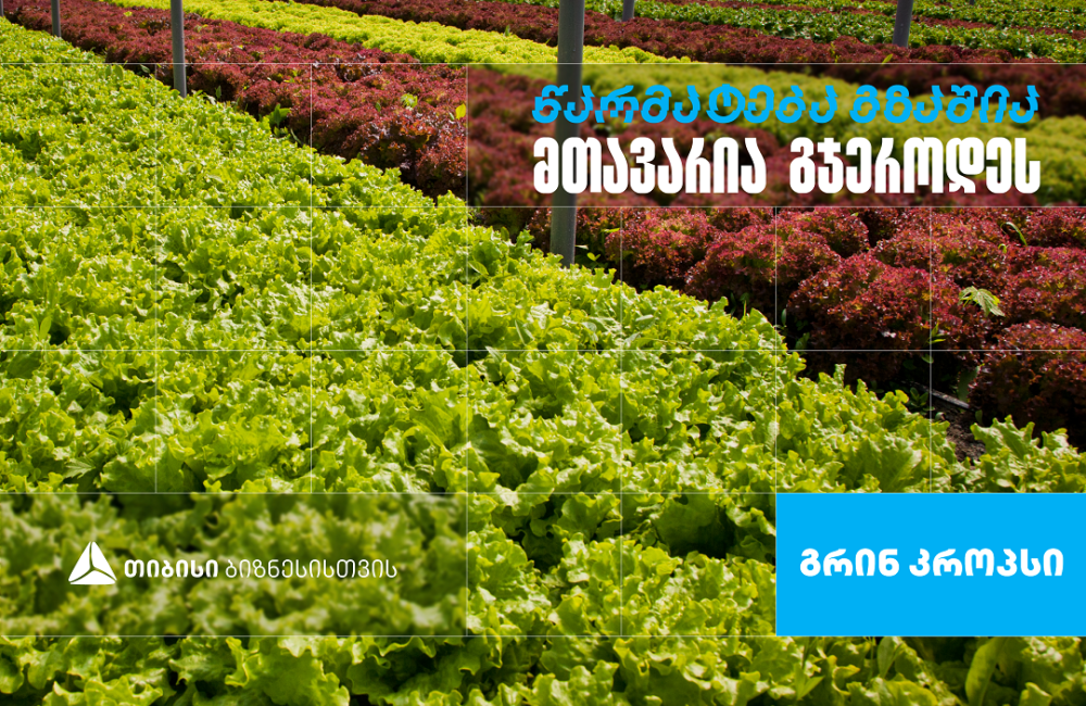 „გრინ კროპს დისტრიბუშენი” - სასათბურე მეურნეობა, რომელიც თიბისი ბიზნესის მხარდაჭერით განვითარდა