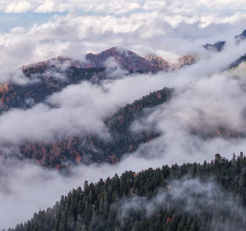 „საირმეს რეკრეაციული ფერმა“ ნიკა ლებანიძის ობიექტივში