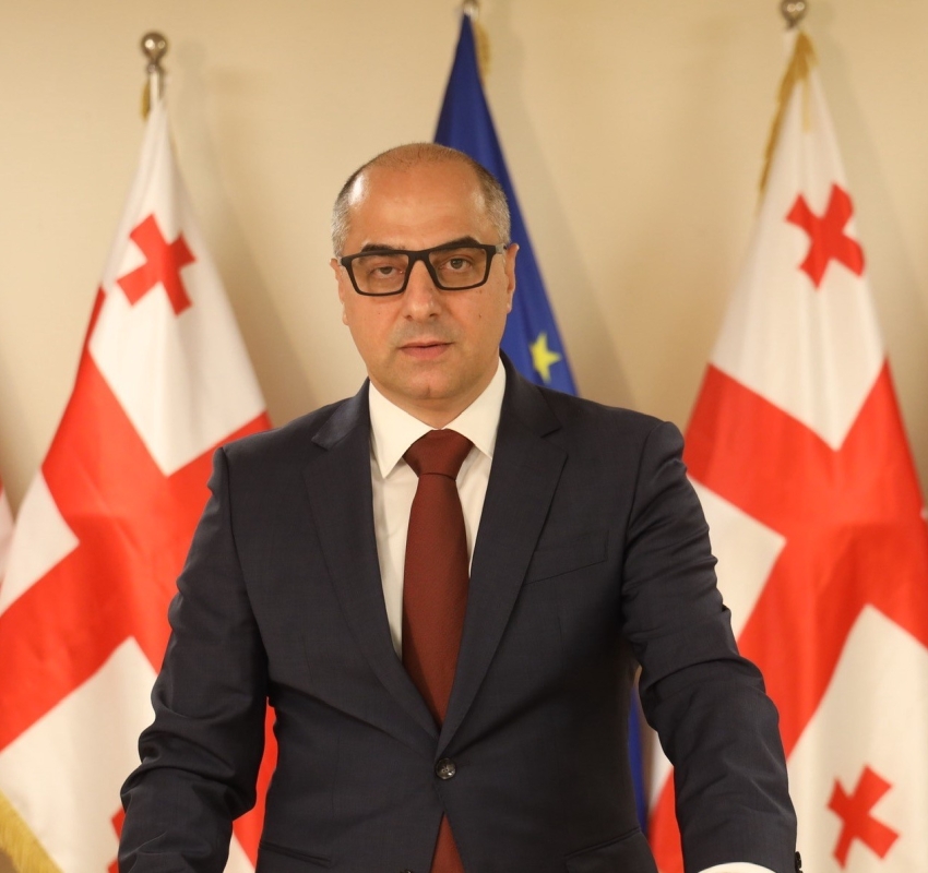 "მიზანია, რომ ახალგაზრდები, არა მხოლოდ ევროპული განათლების პერსპექტივებს დაემშვიდობონ, არამედ, აუდიტორიებში, მათ მიერ „ვიზირებული“ ლექტორები შევიდნენ".