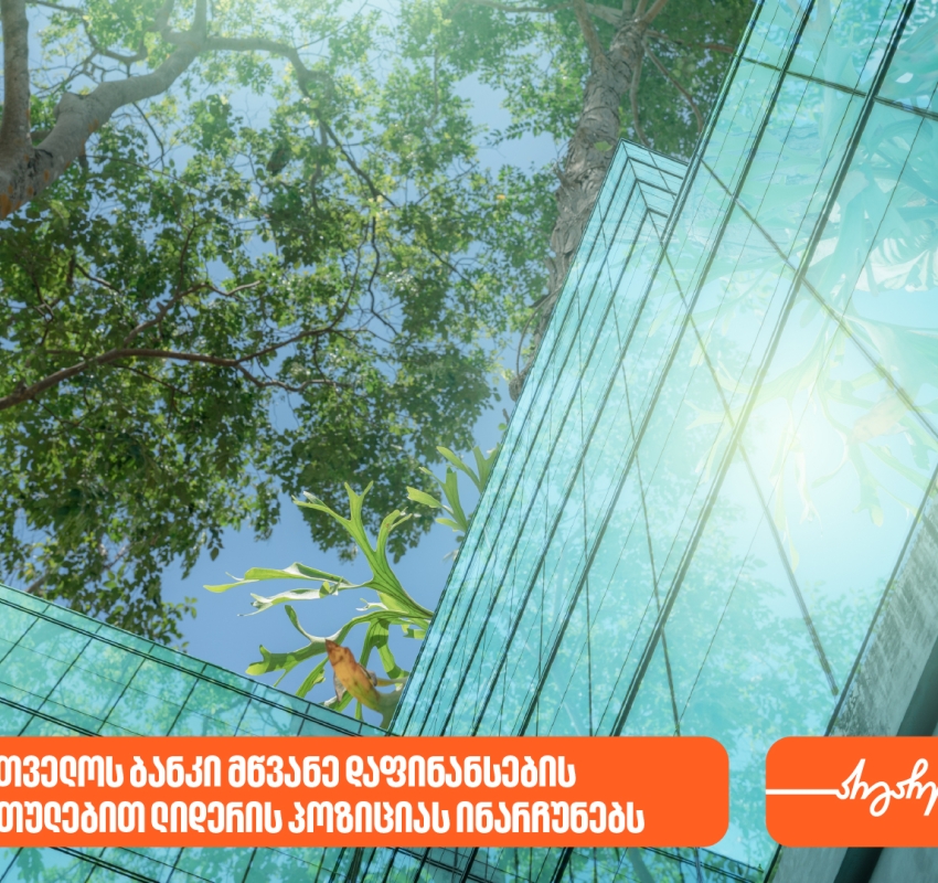 ეროვნული ბანკი: საქართველოს ბანკი მწვანე დაფინანსების მიმართულებით ლიდერის პოზიციას ინარჩუნებს