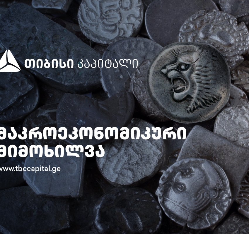 თიბისი კაპიტალმა მაკროეკონომიკური განახლება გამოაქვეყნა - სადამდე გამყარდება ლარი?