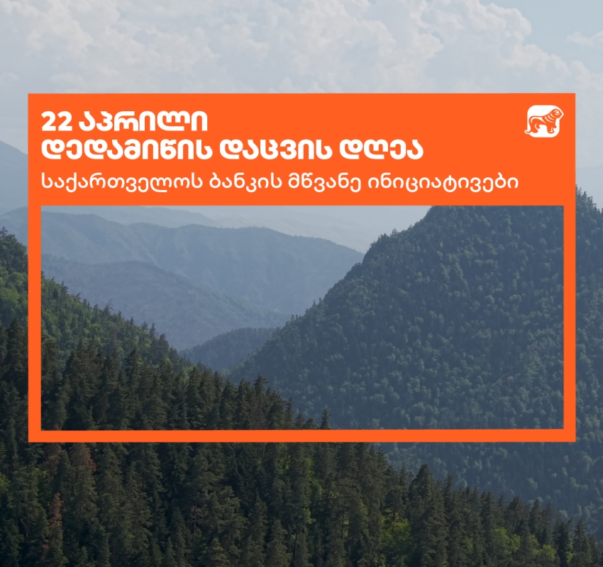 საქართველოს ბანკი დედამიწის დღეს მწვანე ინიციატივებს აჯამებს