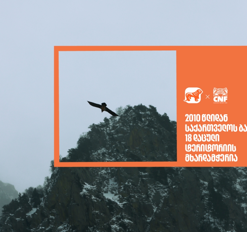 საქართველოს ბანკი 2010 წლიდან  18 დაცული ტერიტორიის მხარდამჭერია