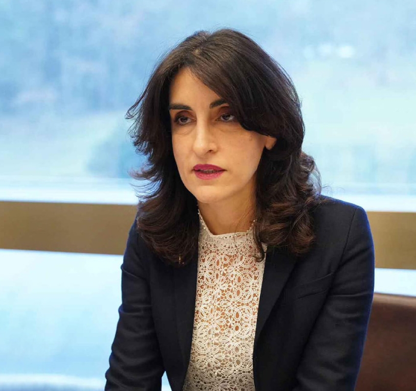 "გვაქვს მოლოდინი, რომ ამერიკის შეერთებული შტატების ახალი ადმინისტრაციის დღის წესრიგში საქართველო უახლოეს მომავალში დადგება"