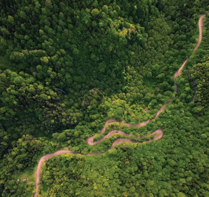 „საირმეს რეკრეაციულ ფერმაში“ ეკოგანათლების პროექტი იწყება: პრაქტიკაზე დაფუძნებული სწავლება და სახალისო აქტივობები