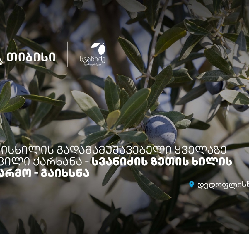 თიბისის მხარდაჭერით, დედოფლისწყაროში „სვანიძის ზეთისხილის“ საწარმო გაიხსნა