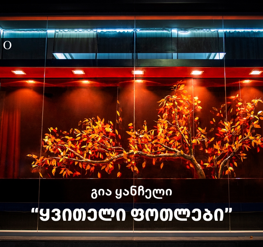 SOLO-მ გია ყანჩელის კომპოზიციის - ყვითელი ფოთლების ინსპირაციით, საშემოდგომო ვიტრინები შექმნა