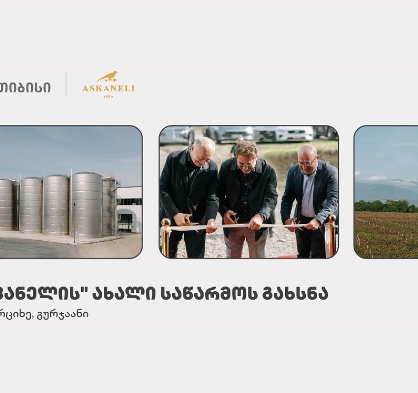 თიბისის მხარდაჭერით, ბაკურციხეში “ასკანელის” ქარხანა გაიხსნა