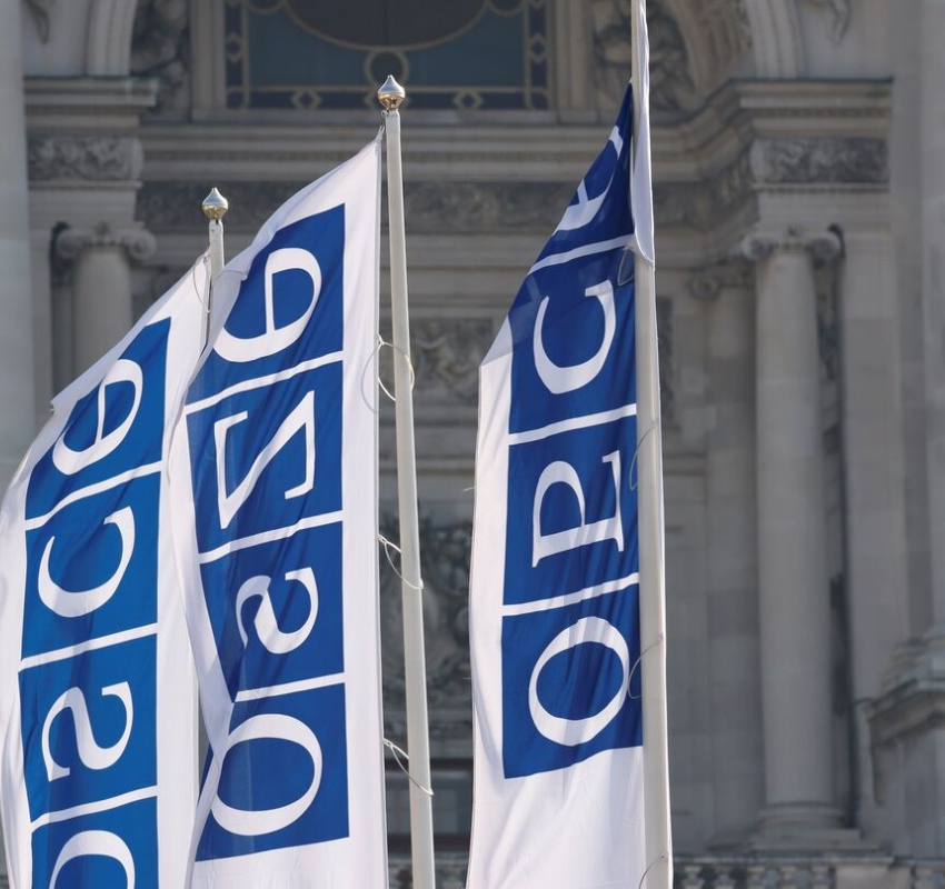 "რა შედეგი შეიძლება მოჰყვეს ეუთოს სპეციალური მექანიზმის ამოქმედებას? ეს არ არის უბრალოდ მორიგი მკაცრი საერთაშორისო პროცესი..."