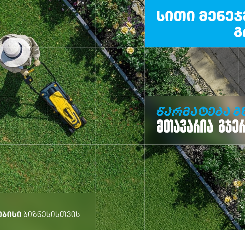 ,,სითი მენეჯმენტ გრუპი’’ - დასუფთავების კომპანია, რომელიც თიბისი ბიზნესის მხარდაჭერით განვითარდა