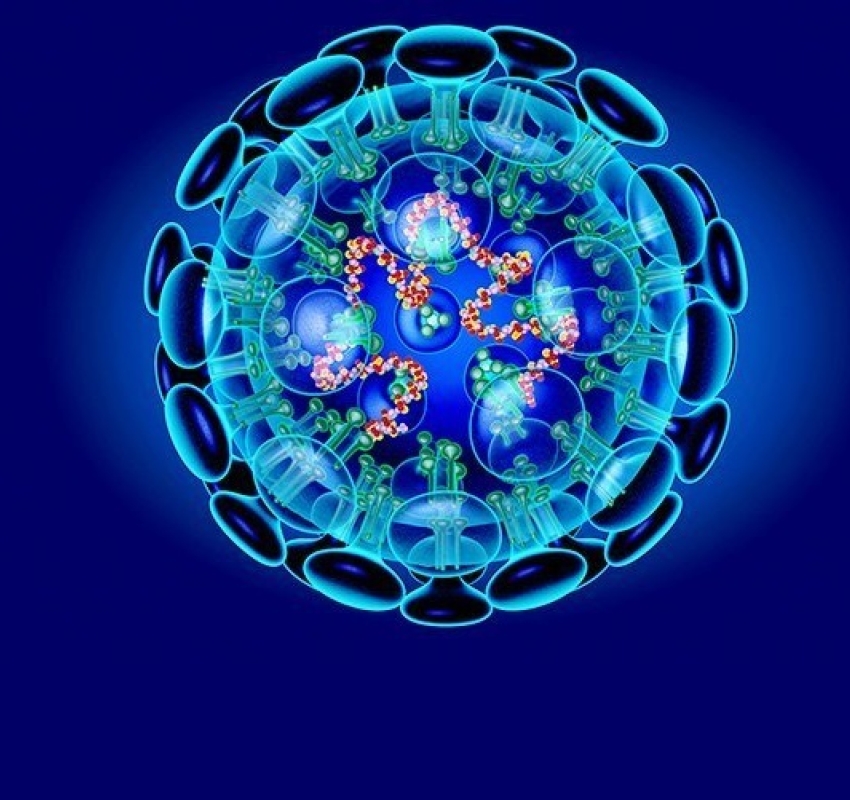 ინდოეთში ახალი სასიკვდილო ვირუსი დაფიქსირდა, რამდენიმე პირი დაინფიცირდა, 100 ადამიანი კი - თვითიზოლაციაშია