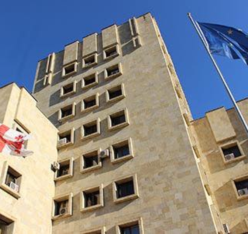 "ბრალდებულმა განსაკუთრებული სისასტიკით მოკლა 2 ძაღლი" - პროკურატურა