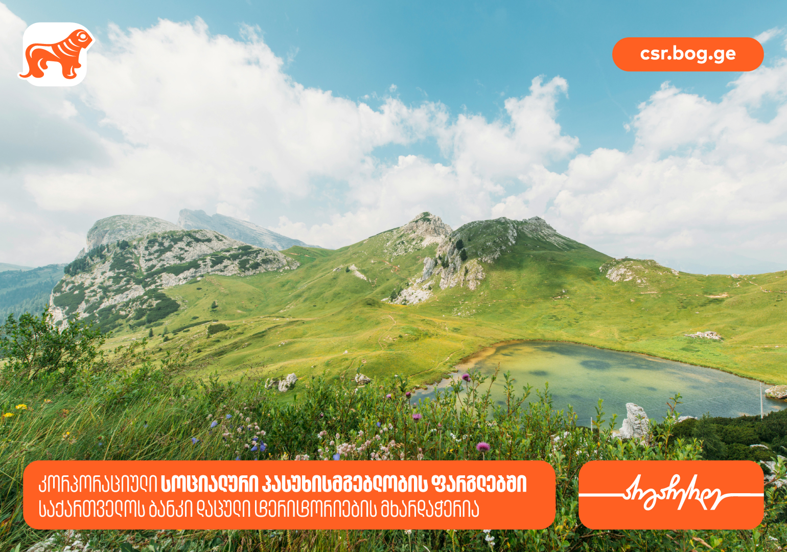 საქართველოს ბანკი, სოციალური პასუხისმგებლობის ფარგლებში, 18 დაცული ...