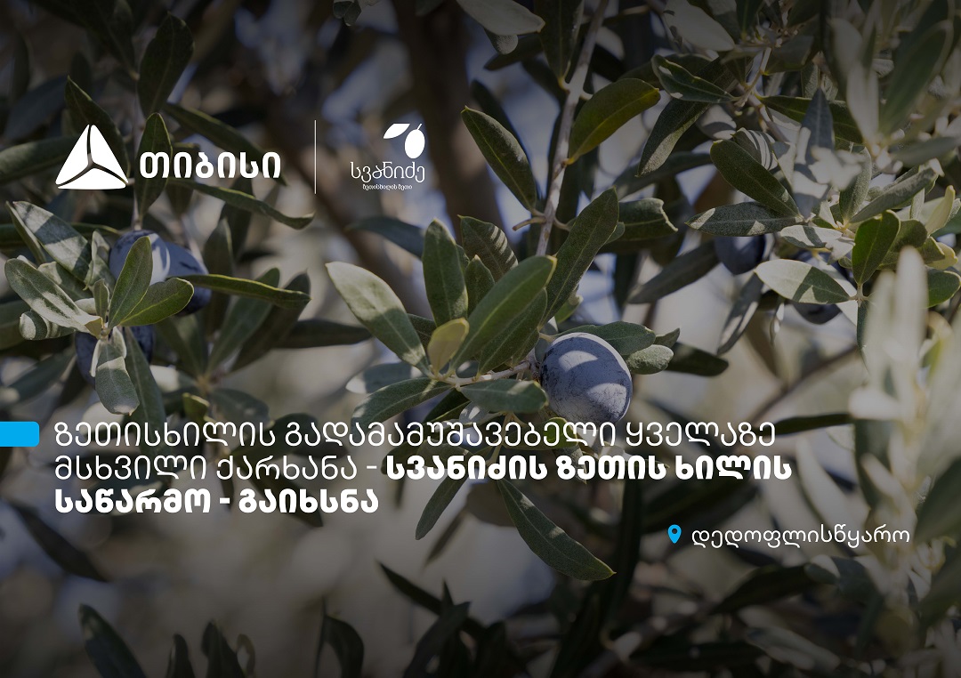 თიბისის მხარდაჭერით, დედოფლისწყაროში „სვანიძის ზეთისხილის“ საწარმო ...